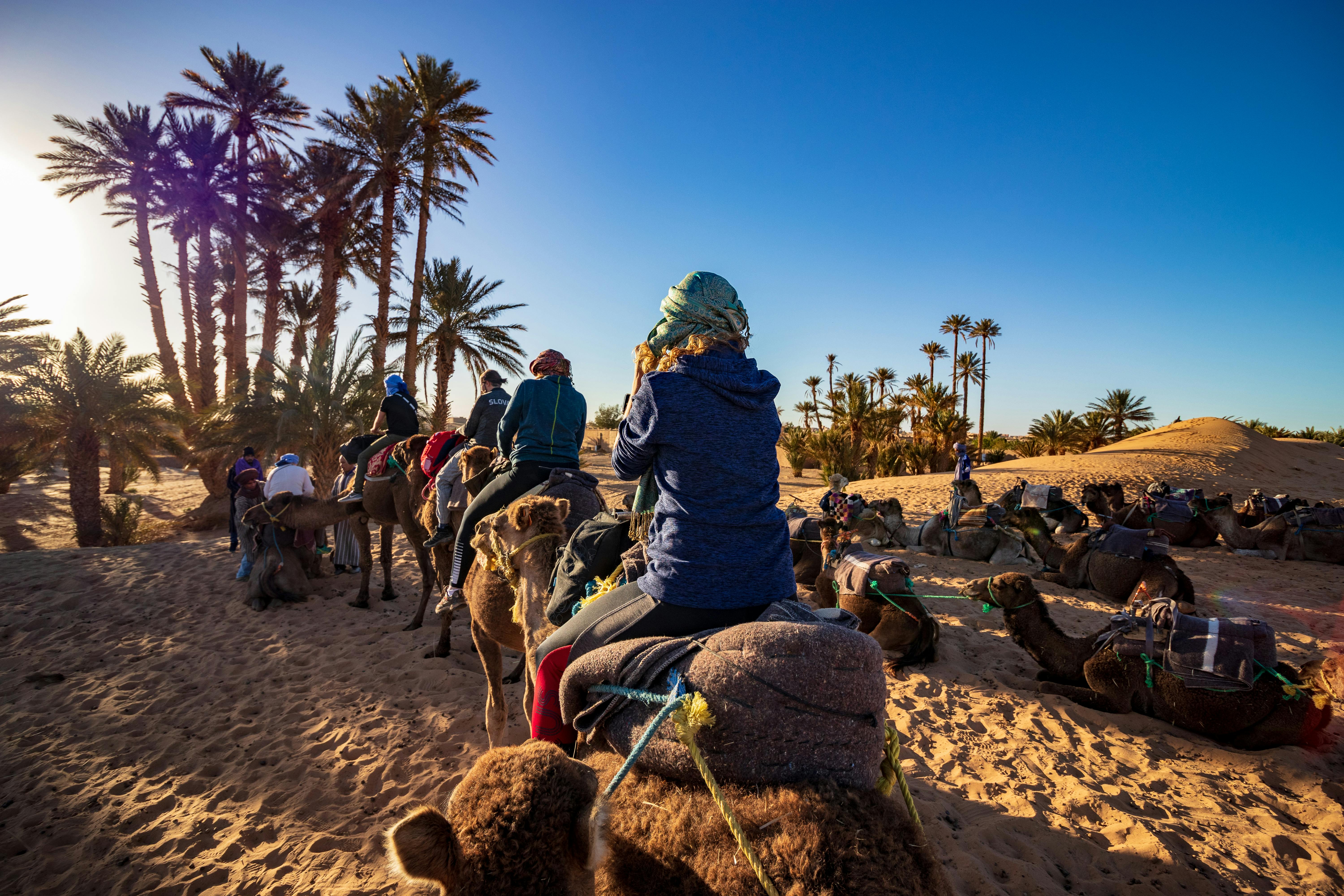 Camel ride experience